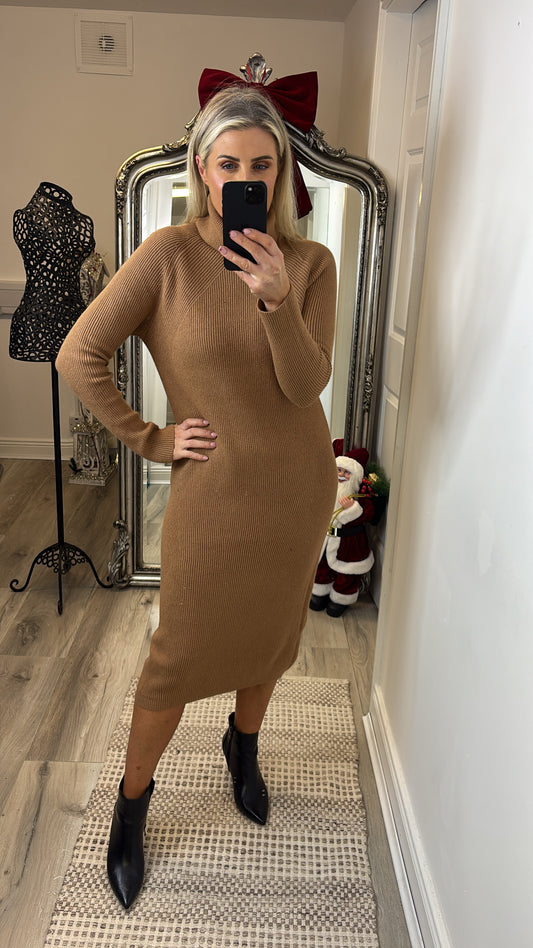 Joanne Roll Neck Dress