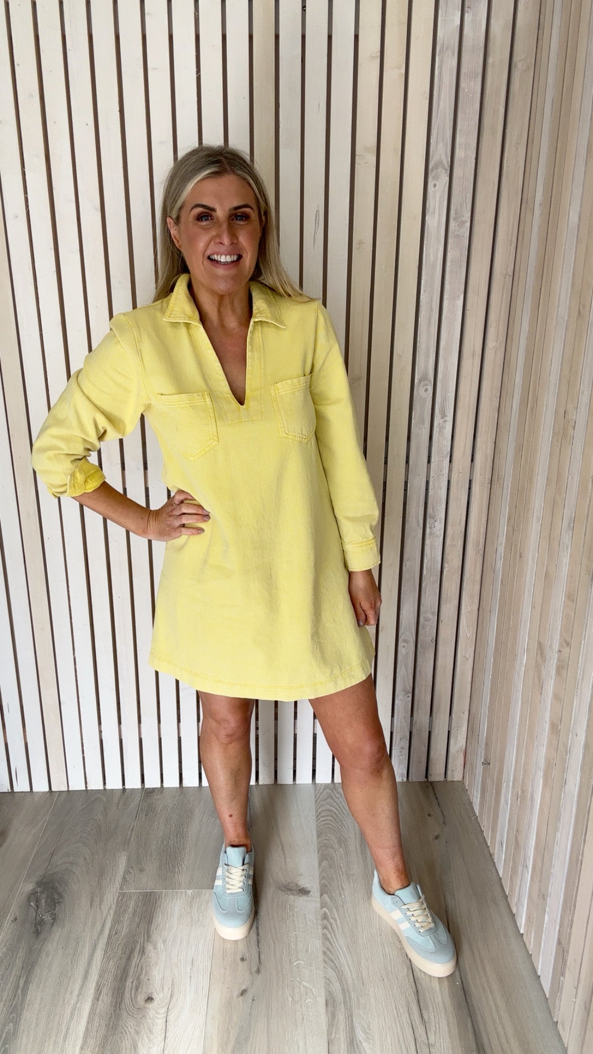 Rose Denim Dress